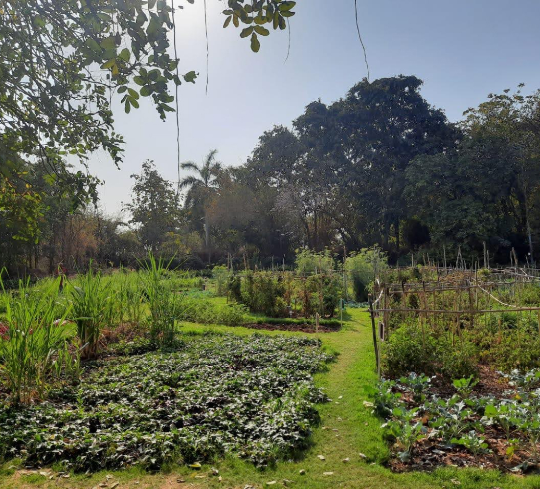 environment-img