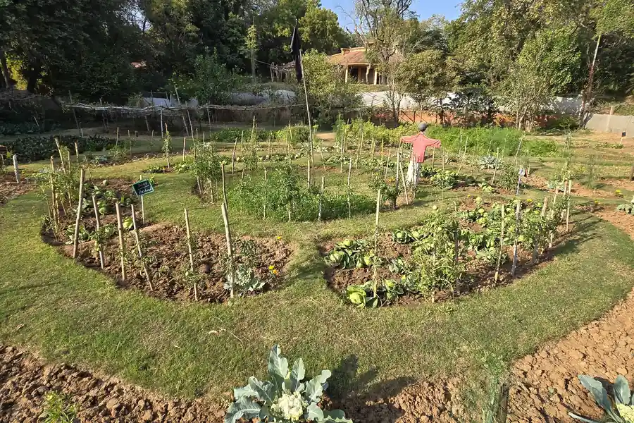 The planted beds at The River Farm