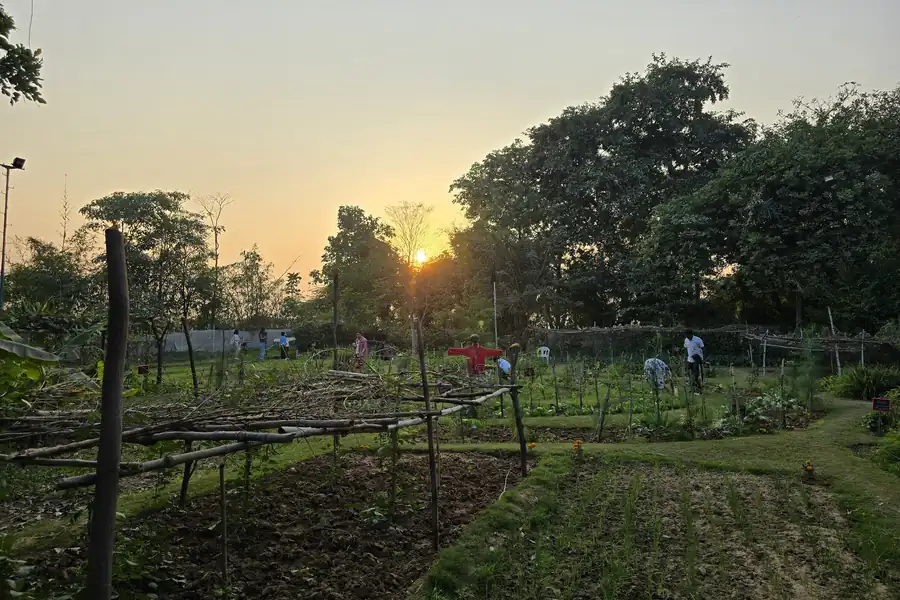 Sunset across the farm