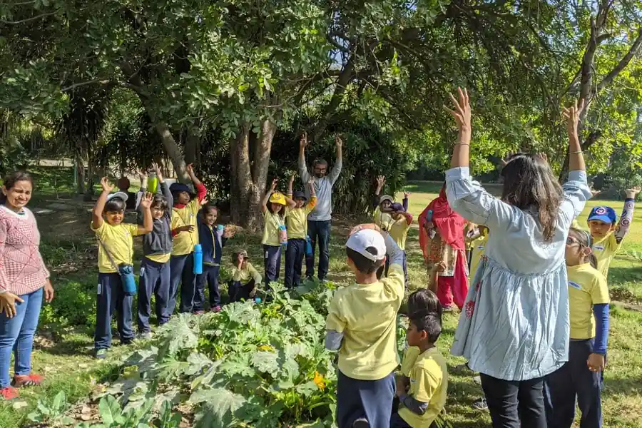 Schoolchildren reaching up into the branches on a visit to the farm