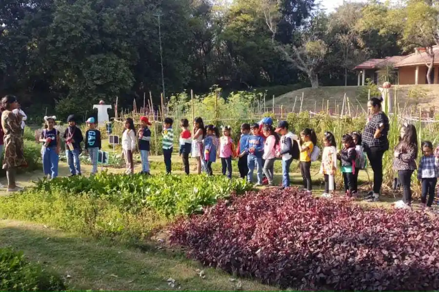 A school group walking the path between the beds