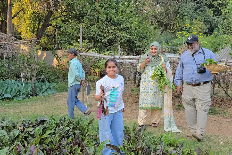 Visitors walking among the crops