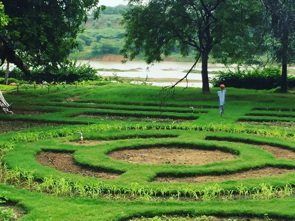 The planted beds at The River Farm